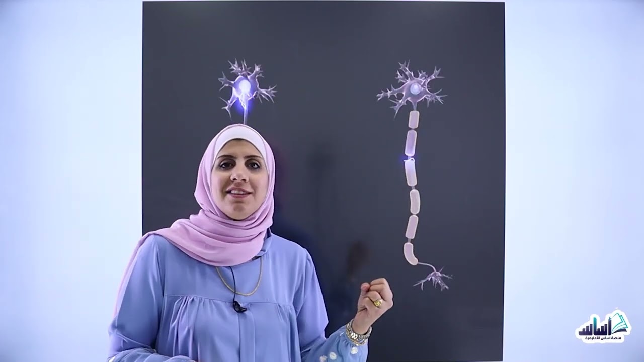 #أول_ثانوي الحصة الأولى من مادة الأحياء/الجهاز العصبي