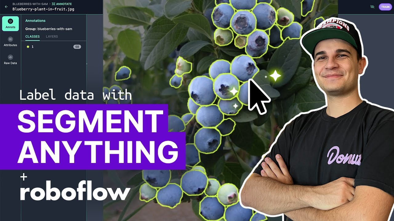 Label Data with Segment Anything Model (SAM) in Roboflow