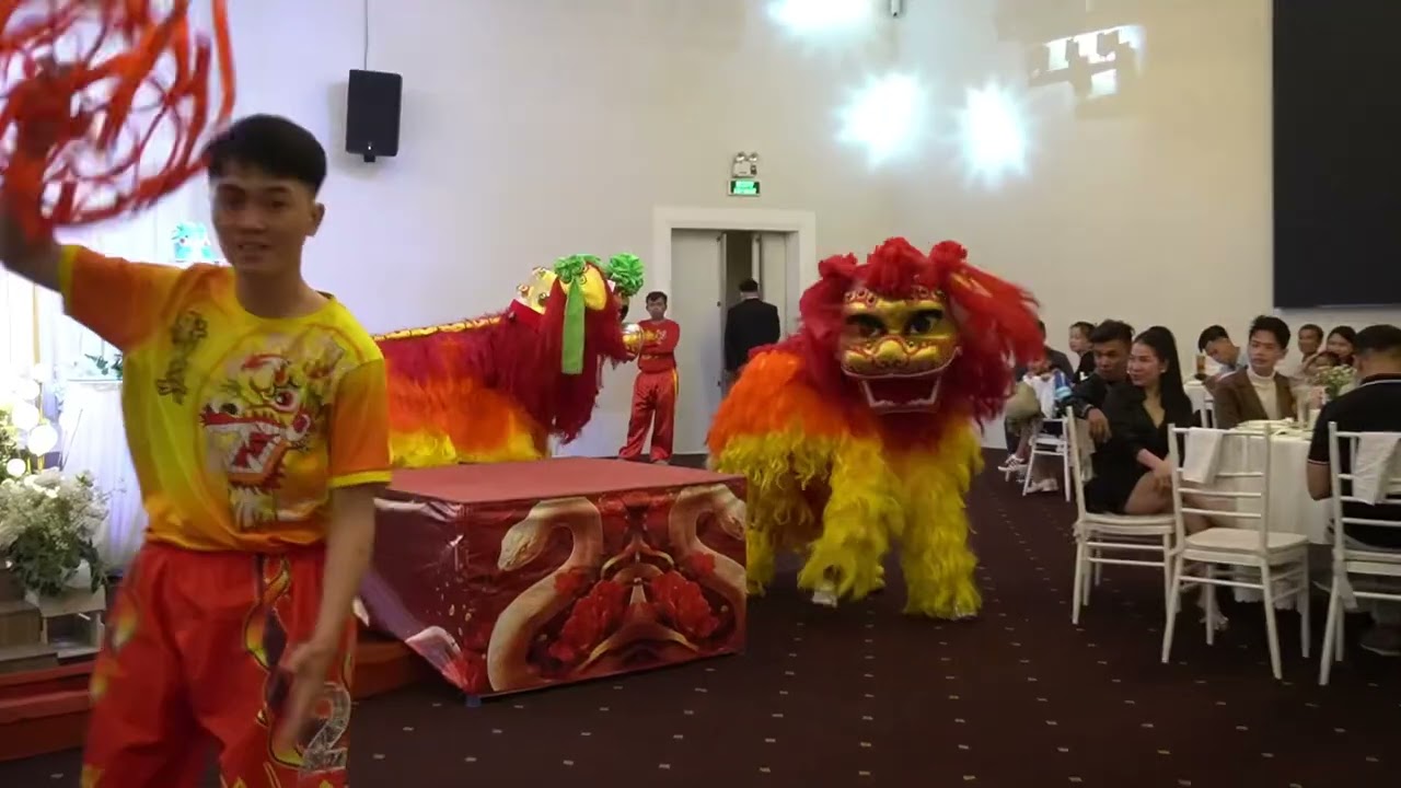 双狮戏球-衡英堂龍獅兄弟/Song Sư Hí Cầu - Hằng Anh Đường