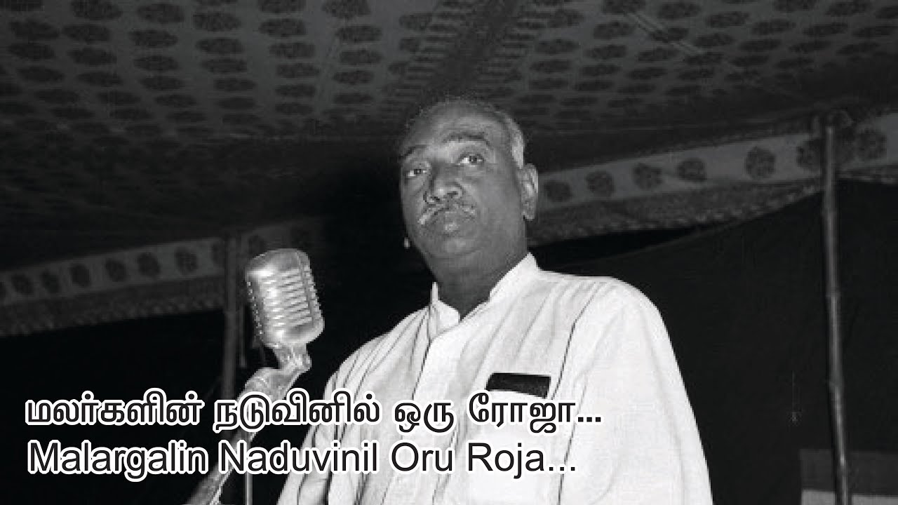 மலர்களின் நடுவினில் ஒரு ரோஜா... | Malargalin naduvinil Oru roja ...