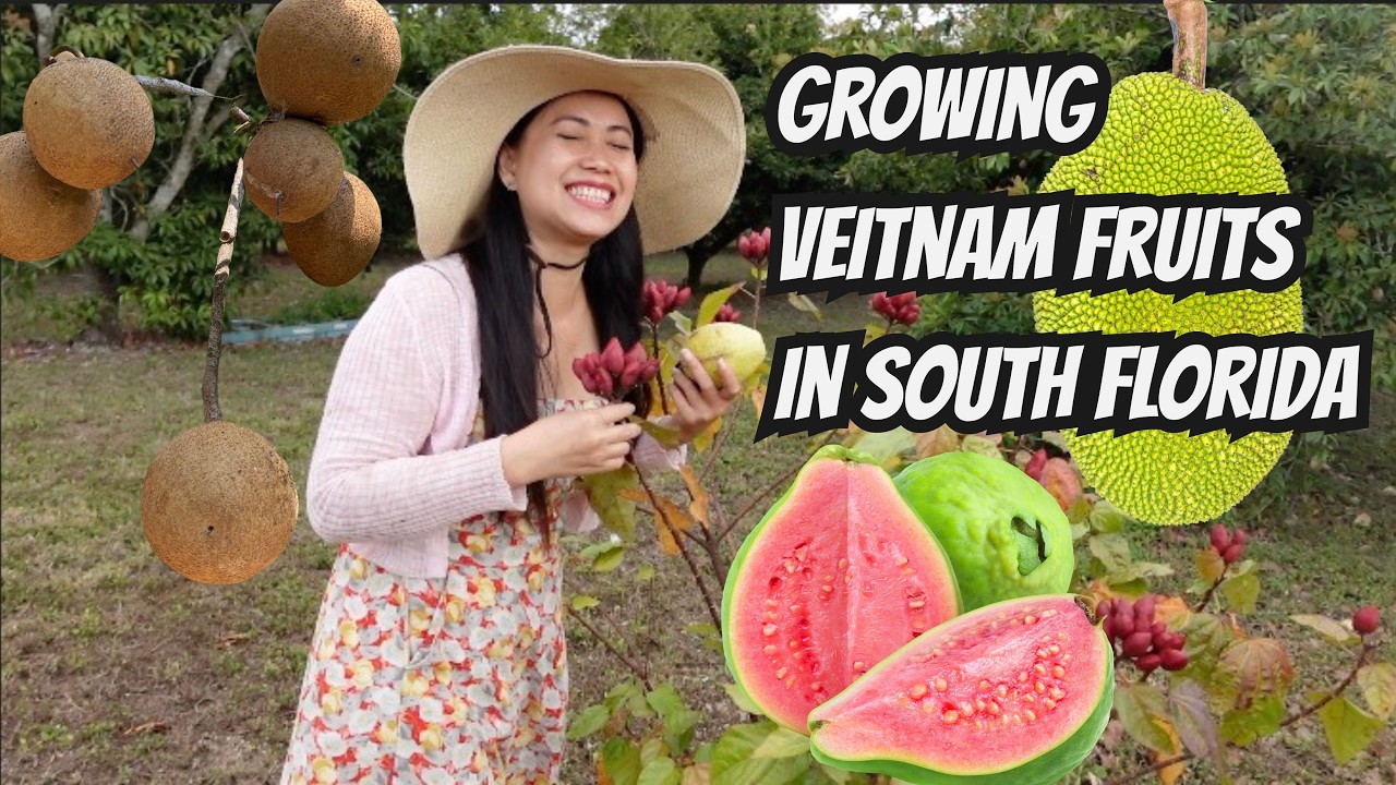 From Vietnam to Florida: Beez’s Tropical Fruit Tree Paradise
