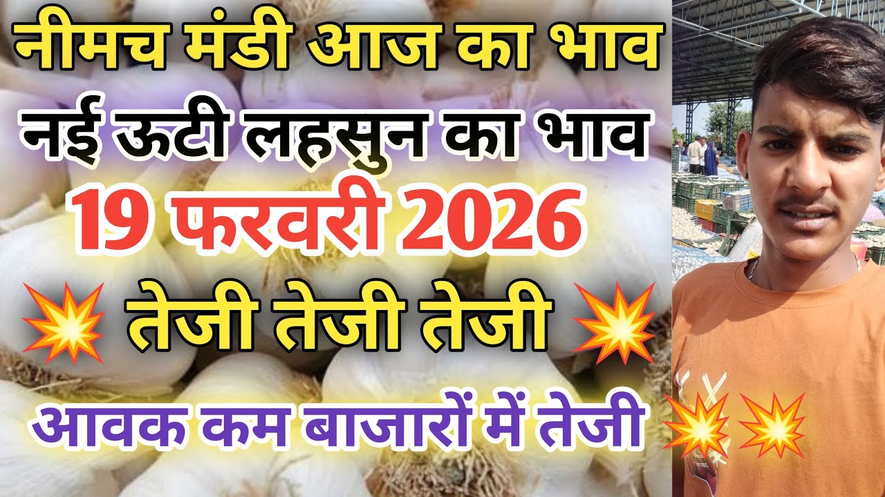नीमच मंडी आज लहसुन के नये भाव/नीमच मंडी भाव आज/नीमच मंडी लहसुन भाव