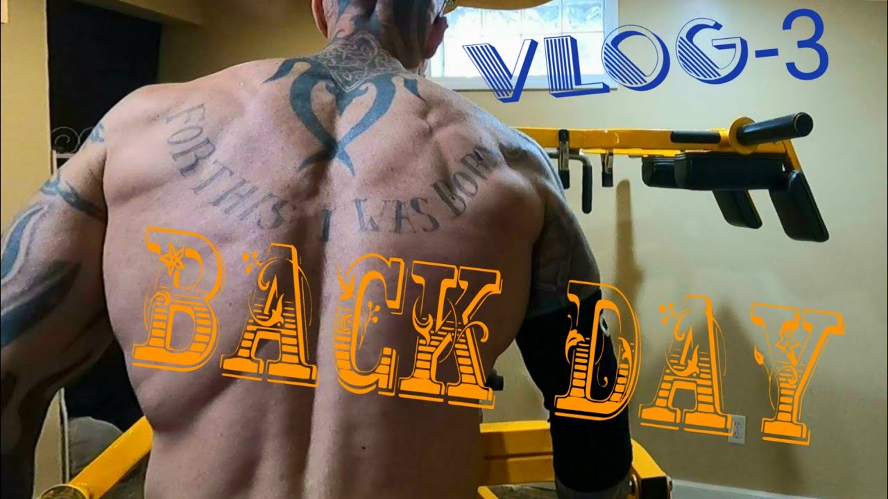 Back Day Vlog-3 How do inmates get so jacked? Transferring the 1/2 rep range of motion to weights.
