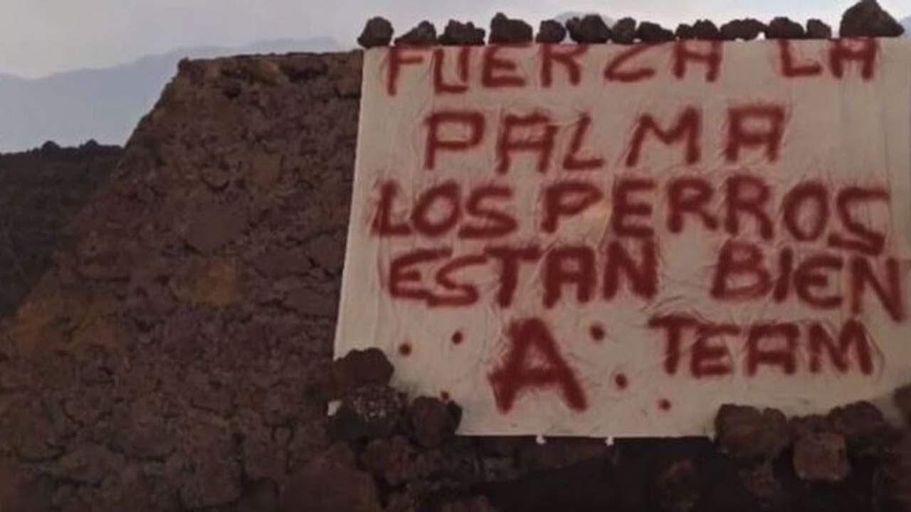 🔴 Aparece un cartel firmado por el 'Equipo A' donde afirma que los perros de La Palma 'EST&Aacute;N BIEN'