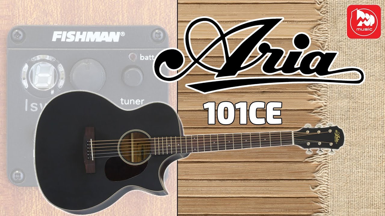 Электроакустика ARIA-101CE