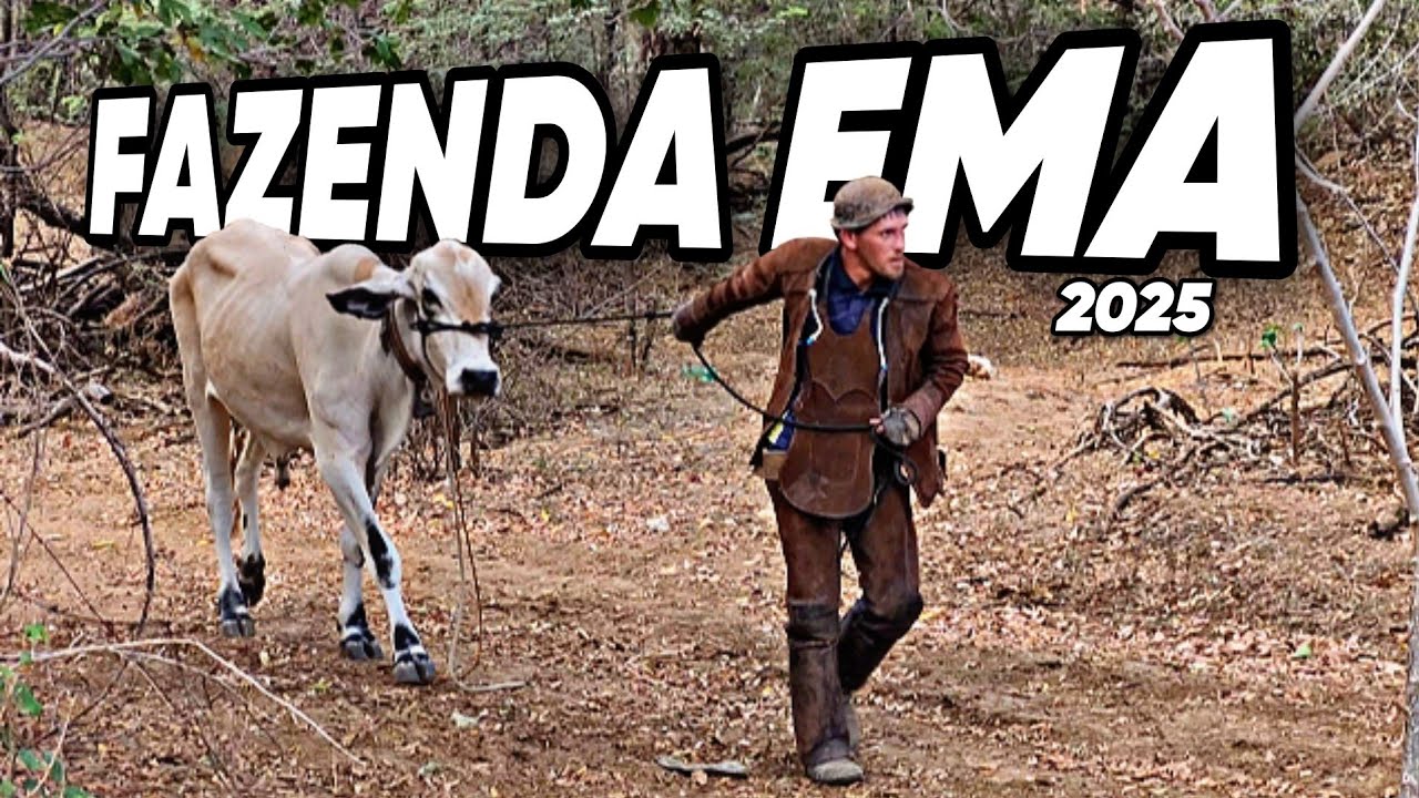 A MAIOR PEGA DE BOI DO BRASIL! - FAZENDA EMA 2025
