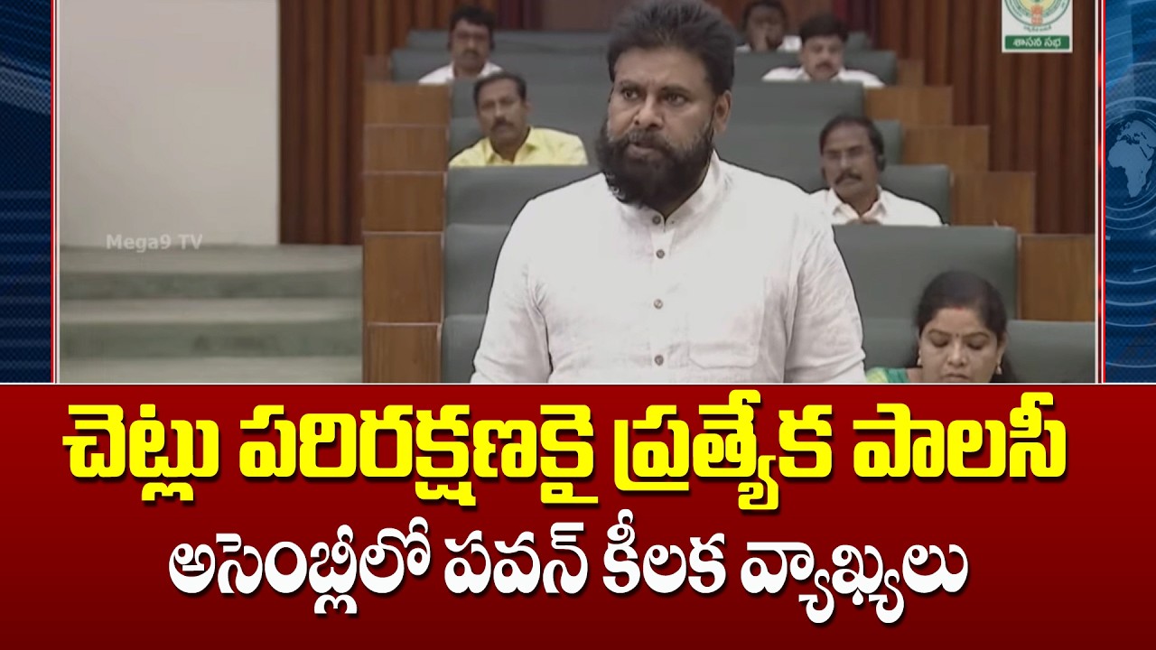 Pawan's key remarks in the special policy assembly for tree conservation | అసెంబ్లీలో పవన్ వ్యాఖ్యలు