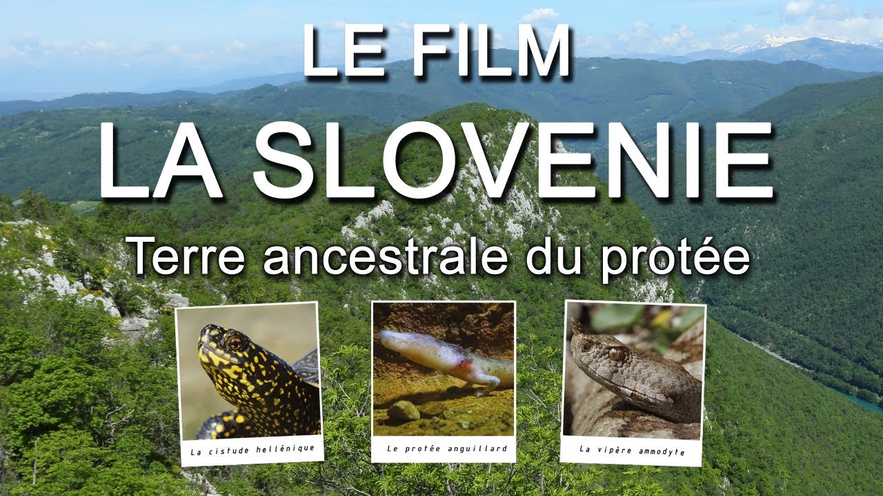 LA SLOVENIE 'Terre ancestrale du protée'