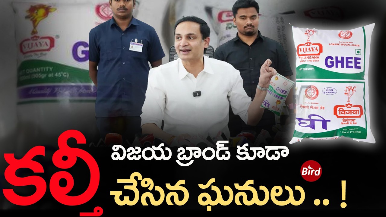 విజయ బ్రాండ్ కూడా కల్తీ చేసిన ఘనులు ! Adulterated Ghee Allegations on AP Vijaya Brand | Bird Media