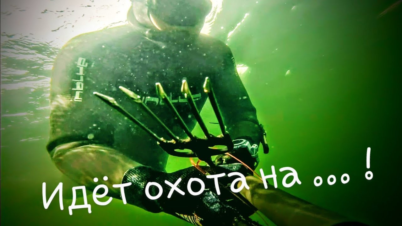 🇪🇪🔱🔥Oхота на Угря лето 2023г. 🤙 💥 💯