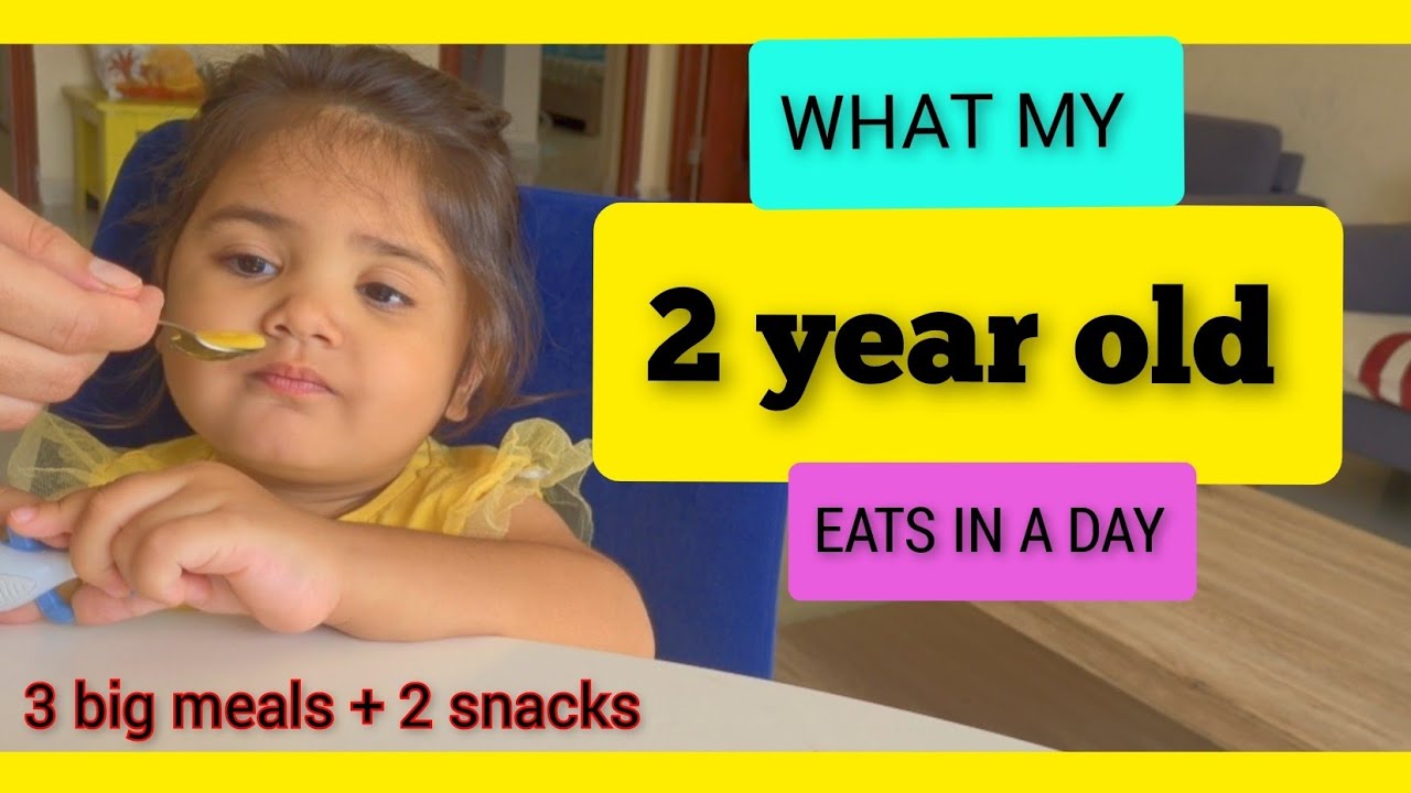 What My 2 Year Old ( toddler) Eats In a Day | Toddler Meal Ideas |Toddler  Full Day Routine