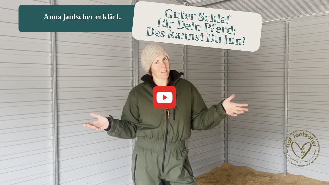 Guter Schlaf für dein Pferd - Anna Jantscher erklärt worauf Du achten solltest!