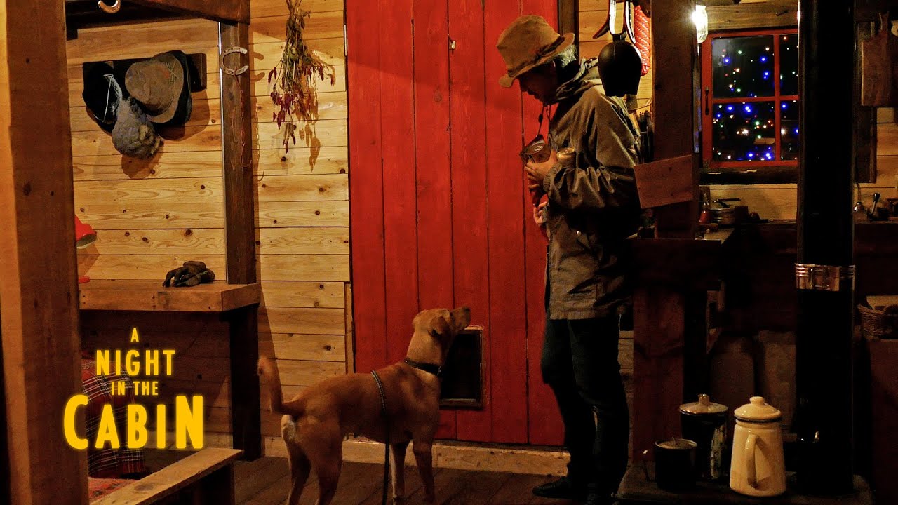 A night in the cabin with my dog