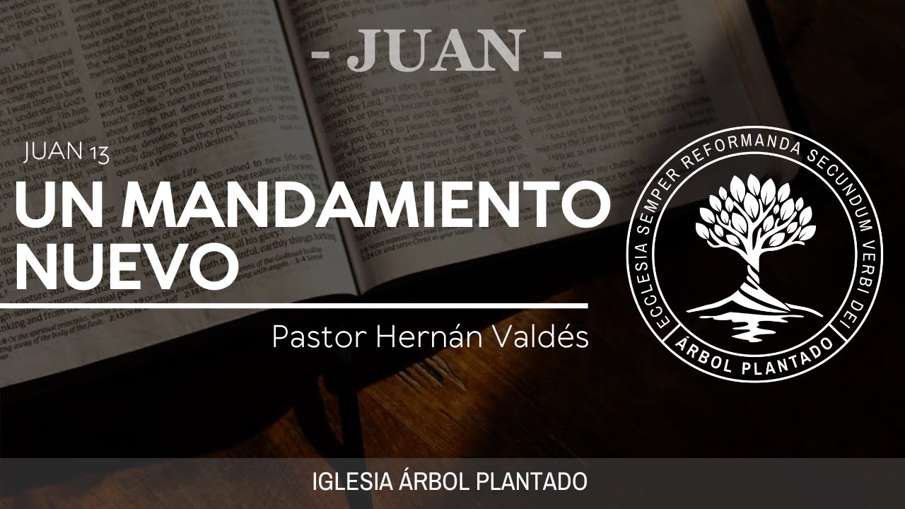 29 - Un mandamiento nuevo ( Juan 13 )