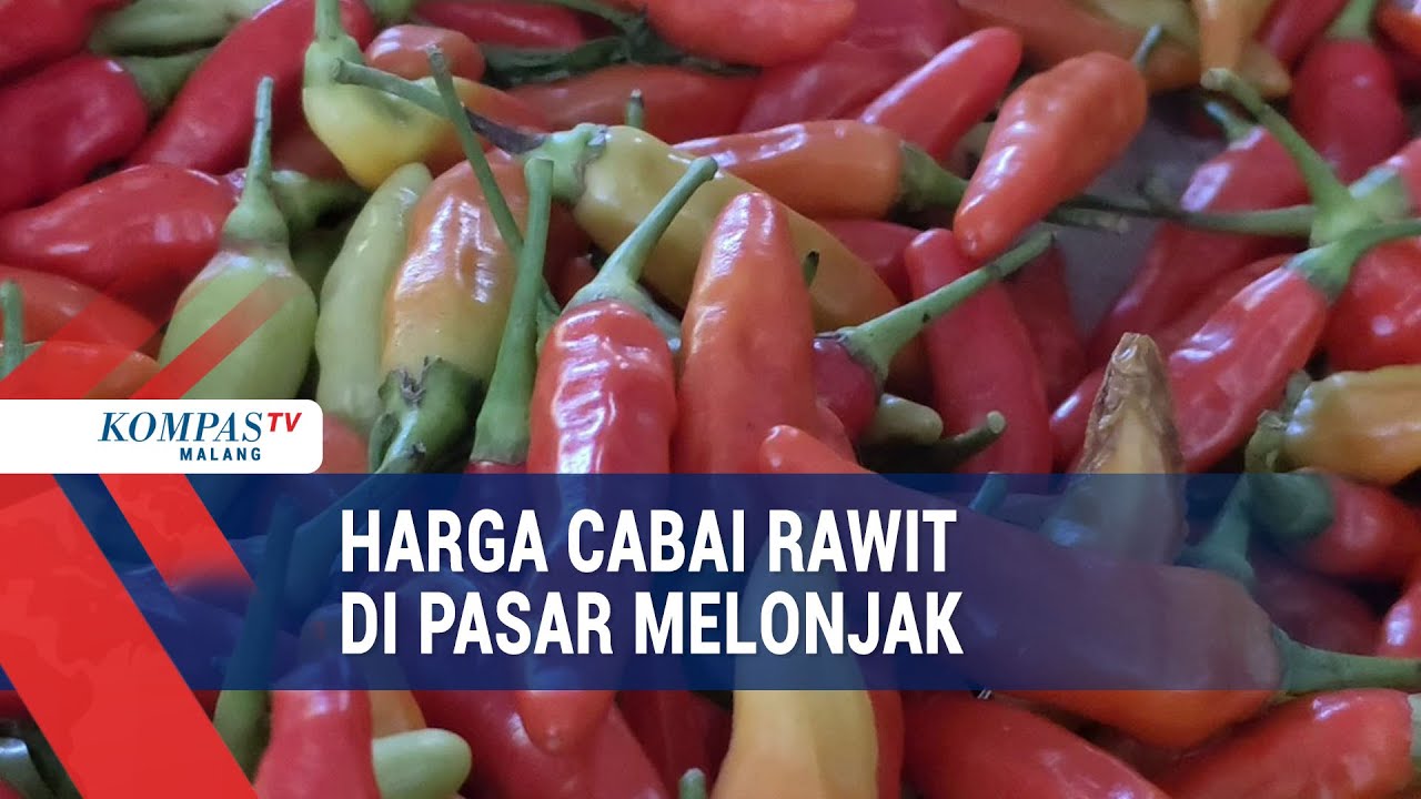 Harga Cabai Rawit Melonjak Tembus Rp 80 Ribu