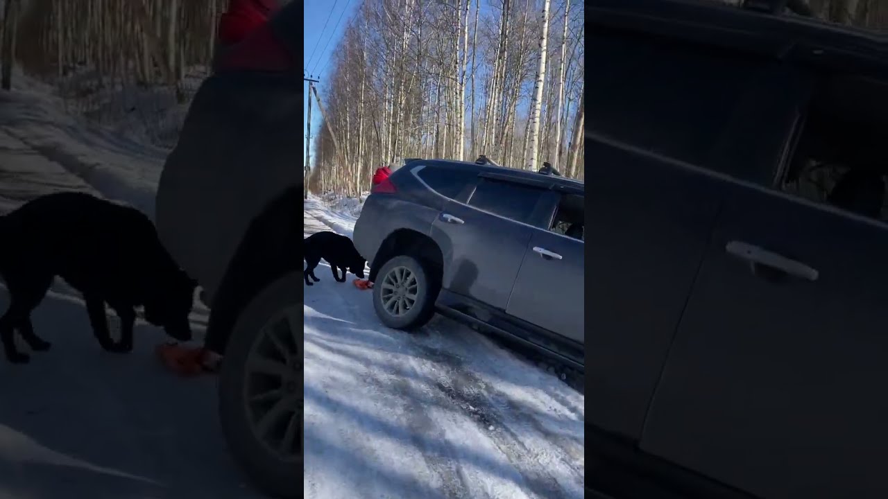 Insane Russian Icy Road Crash: SUV Slides into Ditch in Leningrad! ❄️🚙