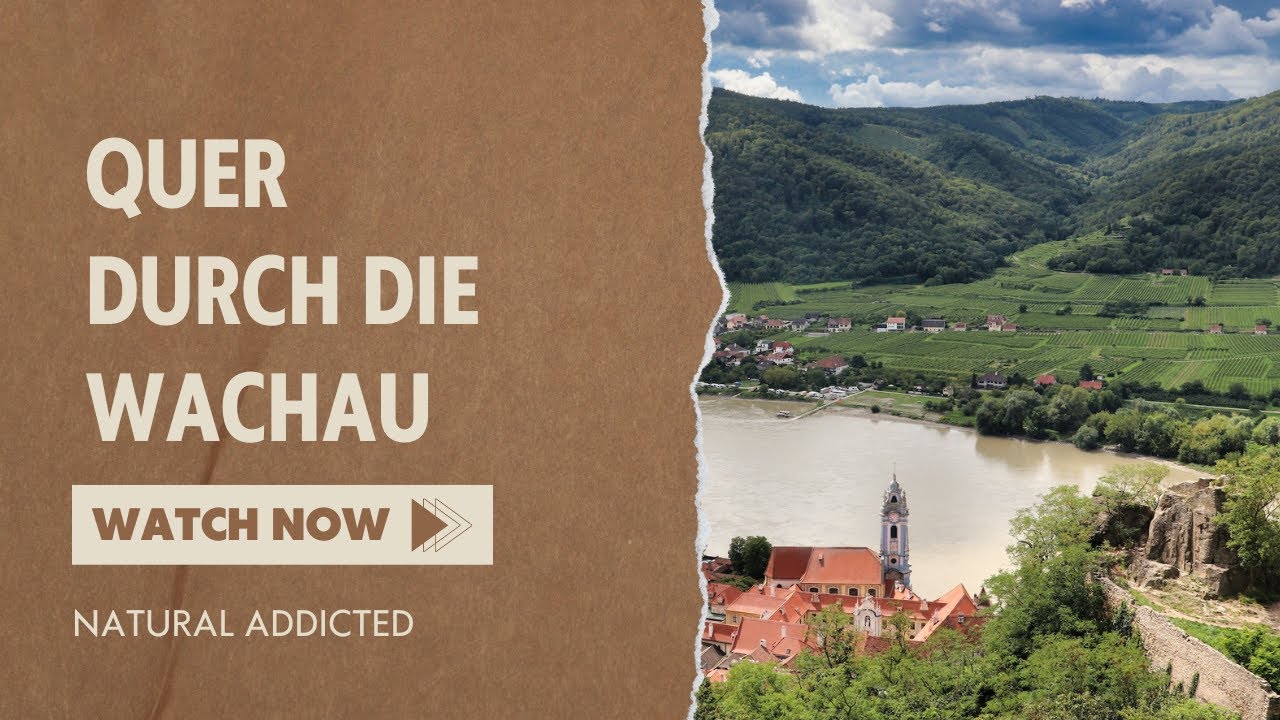 Ausblick Ruine Dürnstein | In der Wachau unterwegs | zwischen Granitfelsen | Bushcraft Österreich