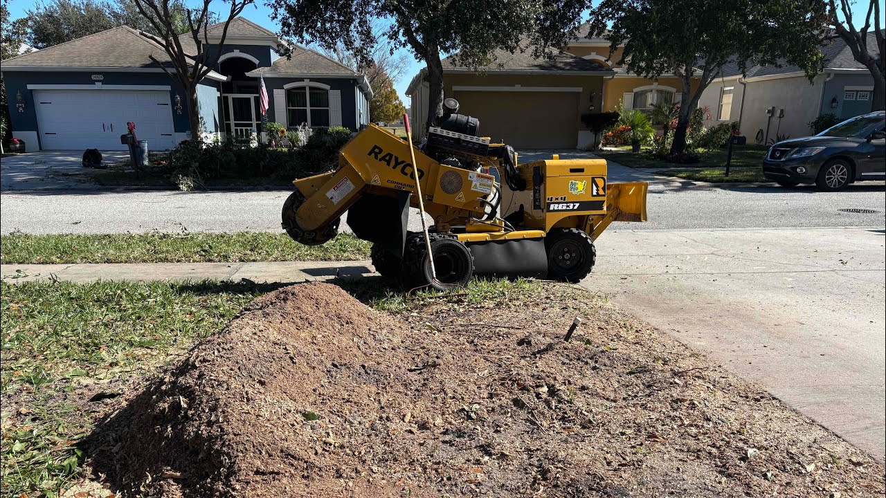 Small tree companies keeping my stump grinder busy! 