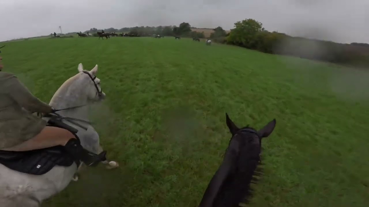 Readyfield Bloodhounds Exercise- Fox Covert 2024
