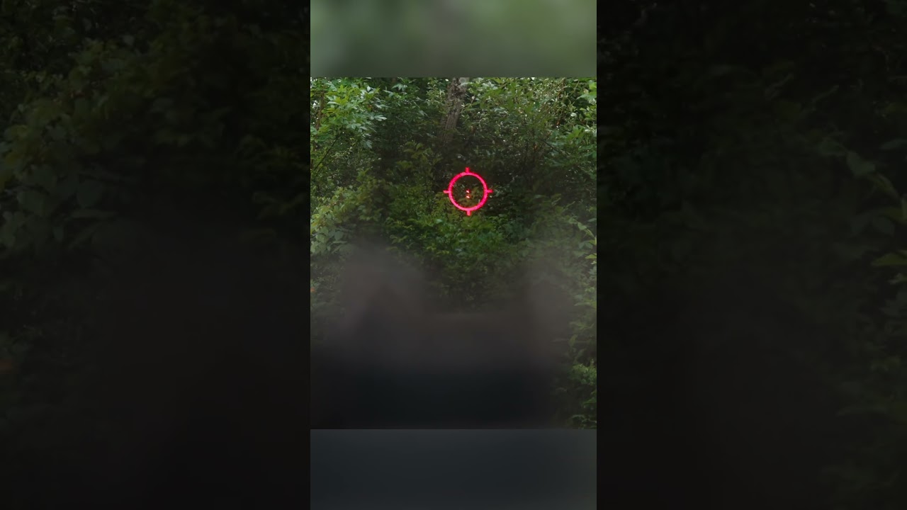 Eotech EXPS 3-2 Reticle