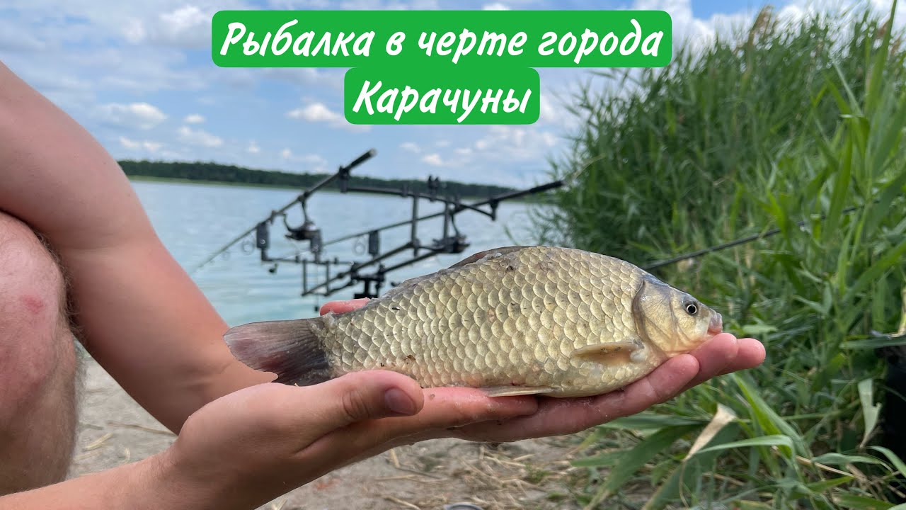 Рыбалка в черте города. Ловим Мирную рыбу. Карачуны!Просто влог) просто мы)