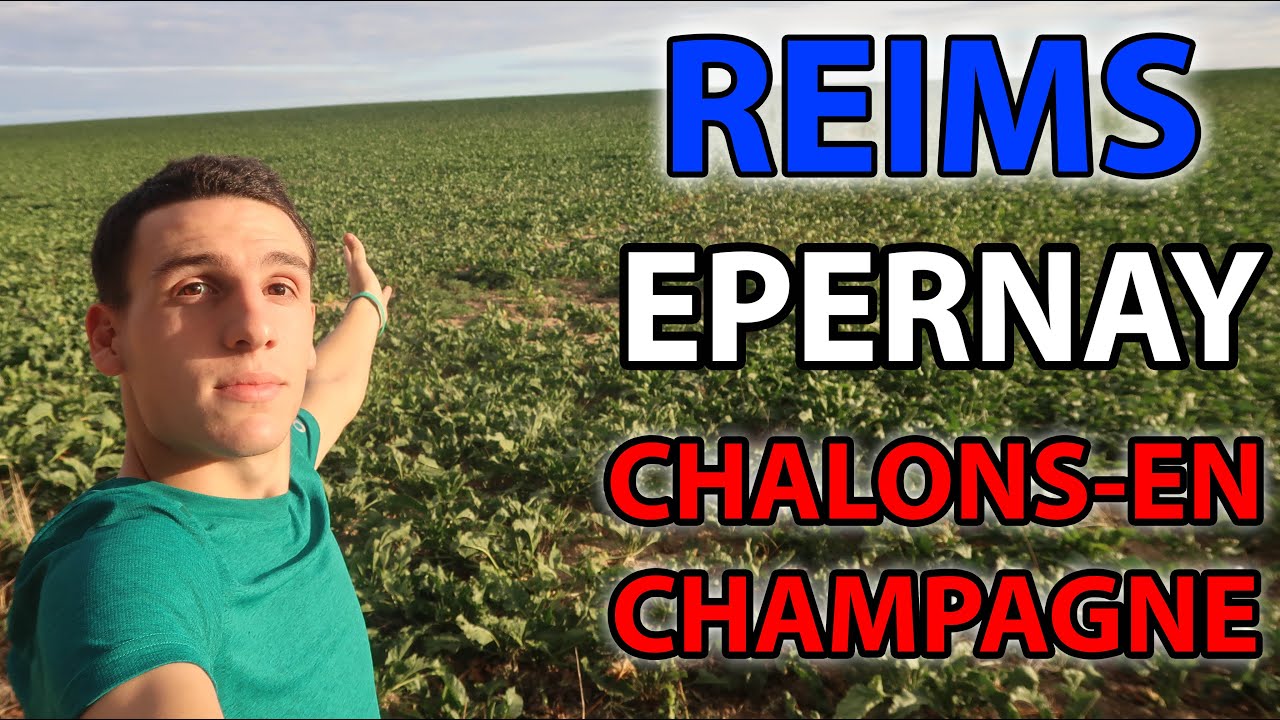 La RUTA del CHAMPAGNE 🍾 FRANCIA