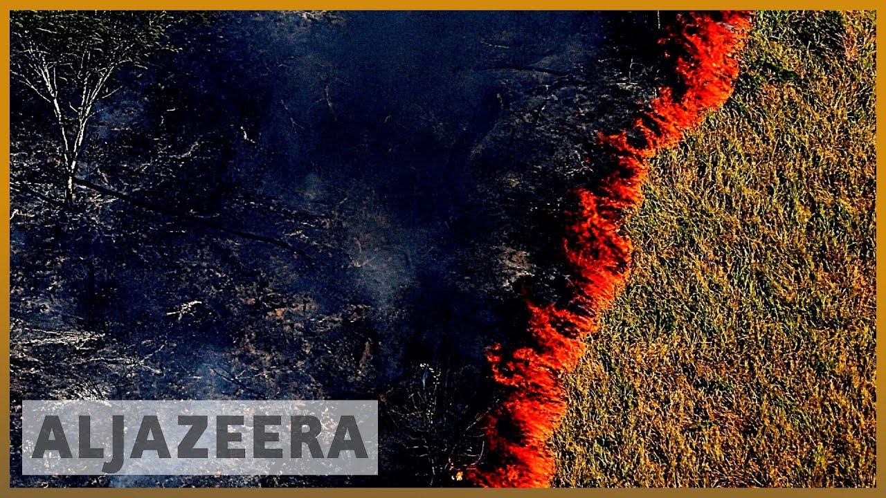 Amazon burning: Brazil reports record surge in forest fires