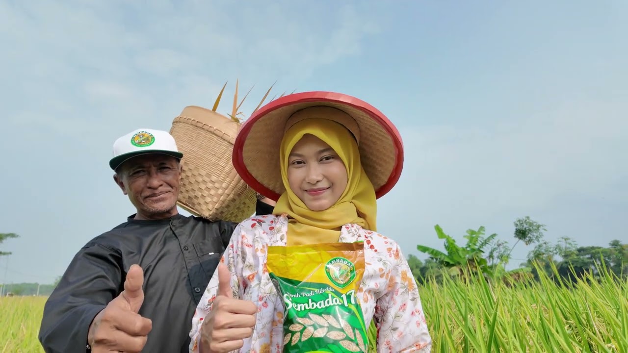 Generasi terbaru. Varietas SEMBADA 178 & BIOIND 23. Pulen ya Sembada.......