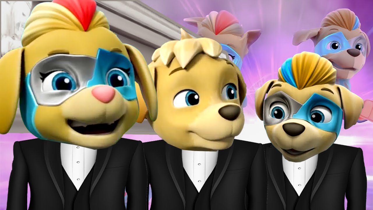 The Mighty Twins In Action Paw Patrol - Coffin Dance Megaremix (COVER)