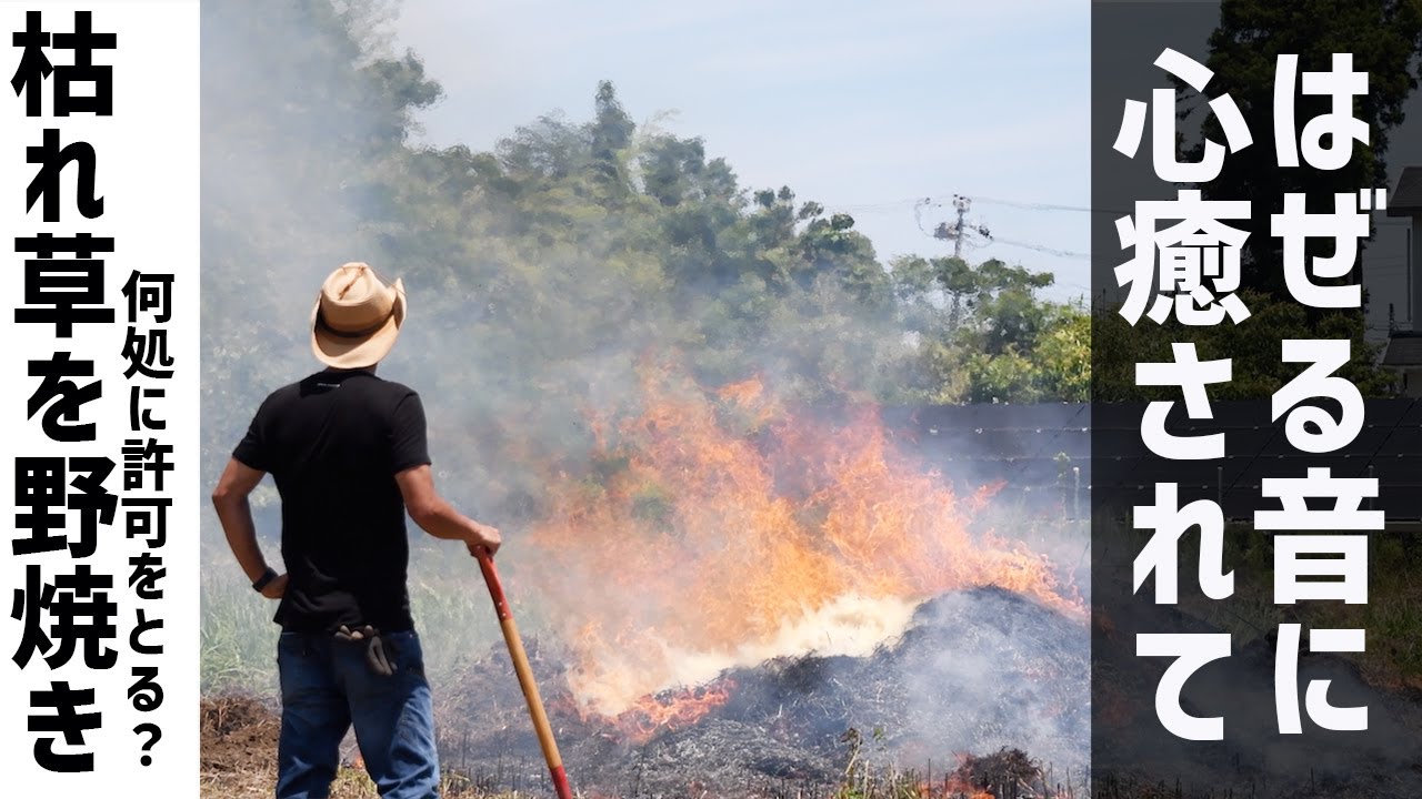 【新米農家の野焼き】枯れ草と竹のはぜる音に癒されて