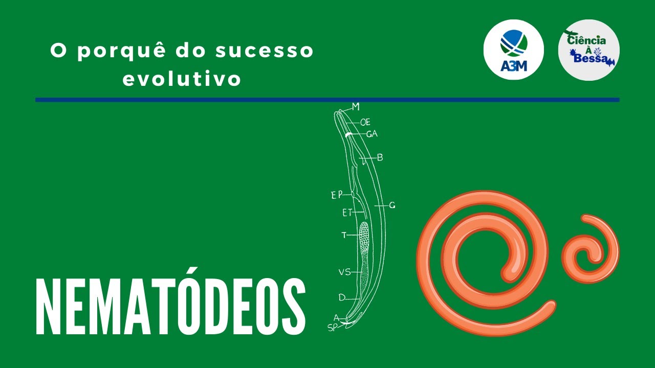 Nematódeo