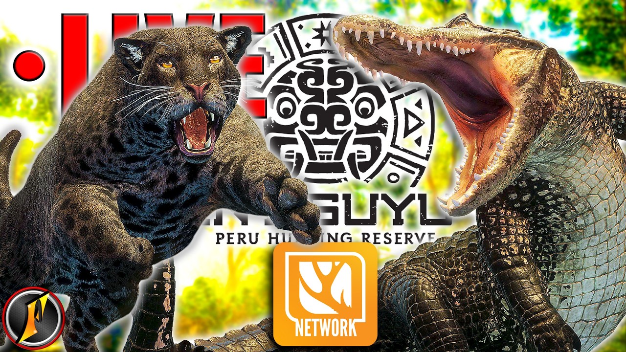 Let's Hunt Peru Trophies on Intisuyu Reserve Early Access! | LIVE