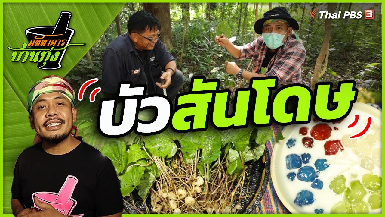 บัวสันโดษ | ภัตตาคารบ้านทุ่ง
