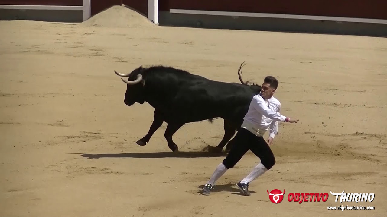 CONCURSO DE RECORTADORES DE ELITE LAS VENTAS (MADRID) 2018 HD