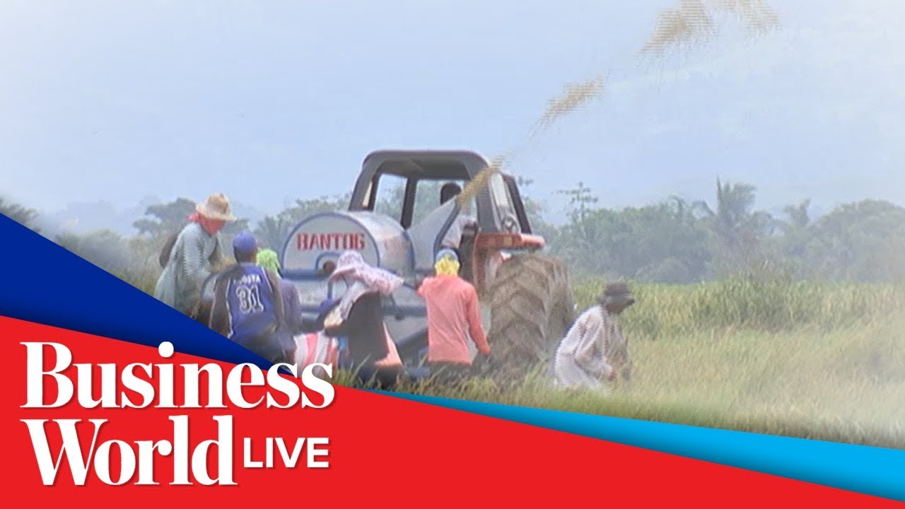 Farmers lost P8.22-B due to rice tariffication law