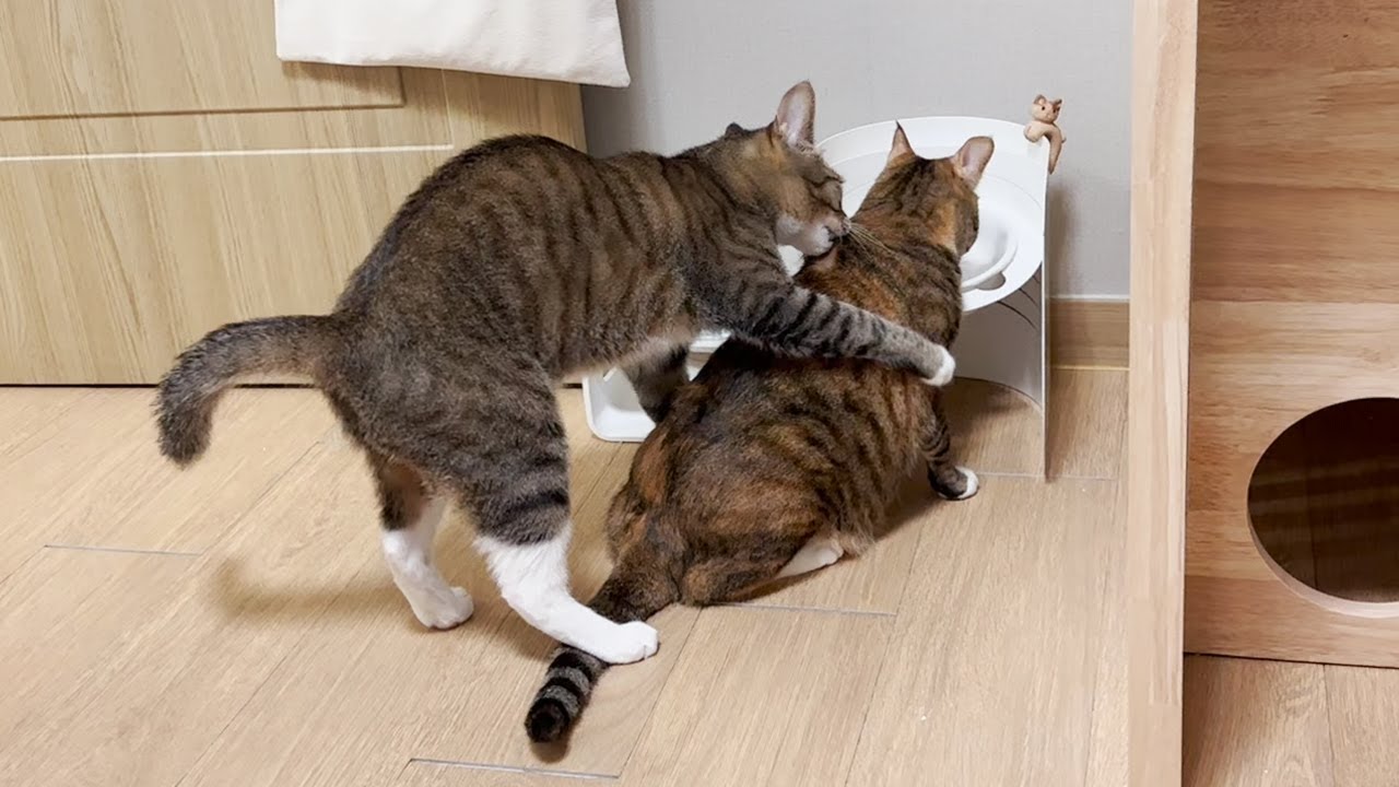 너 오늘 가만 안 둬!