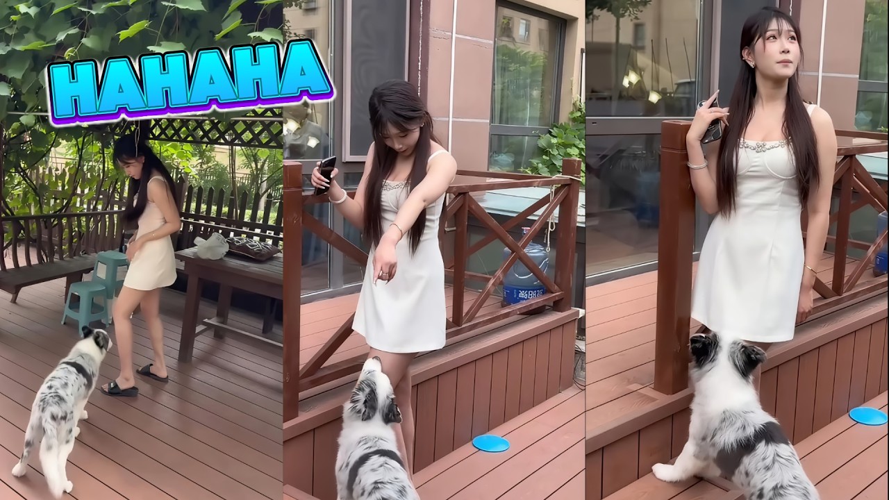 hài giải trí p24:những khoảnh khắc hài hước cười vui vẻ