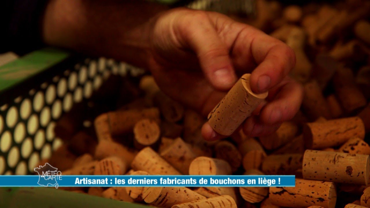 Les derniers fabricants de bouchons en liège ! - Météo à la carte