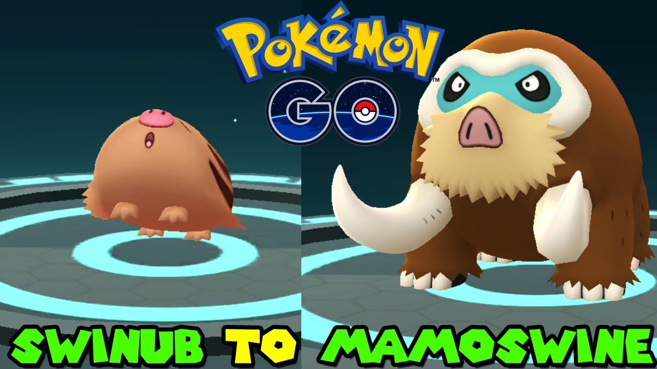 Evolving SWINUB TO MAMOSWINE IN POKEMON GO - SWINUB COMMUNITY DAY