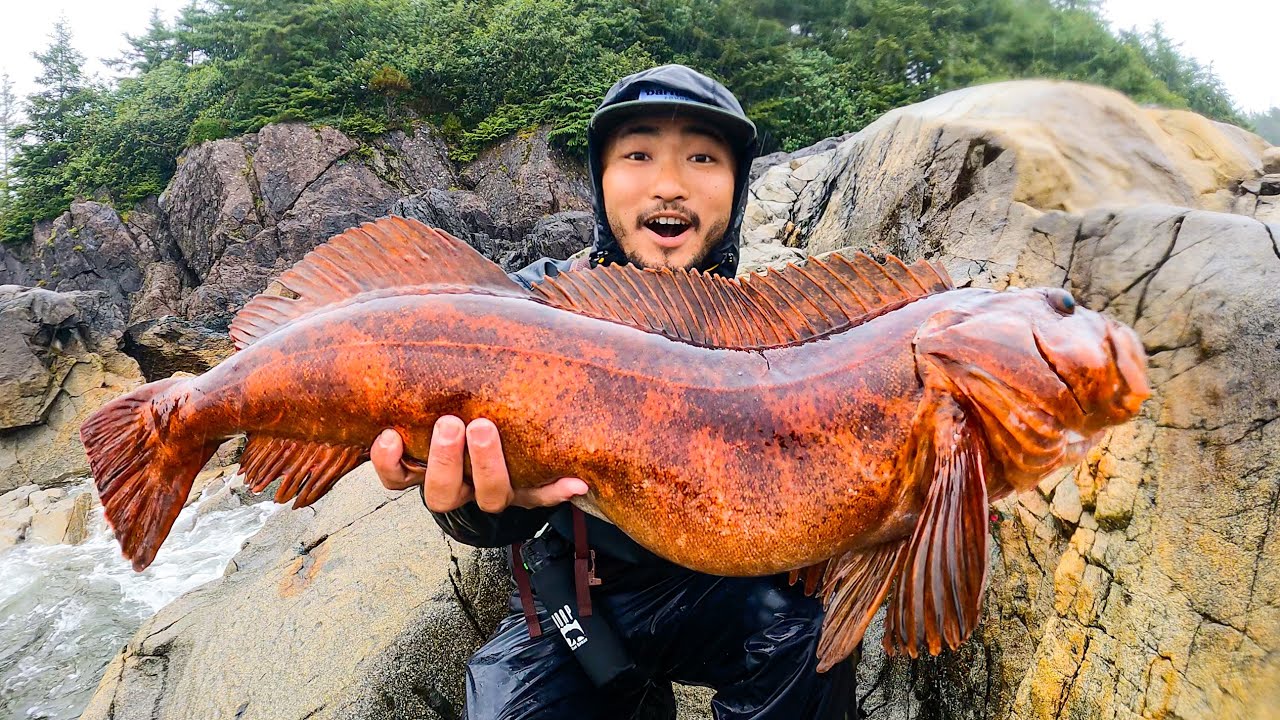 GREATEST CATCH AND COOK OF ALL TIME | Alaska Coastal Foraging, Red Lingcod, and Hot Springs