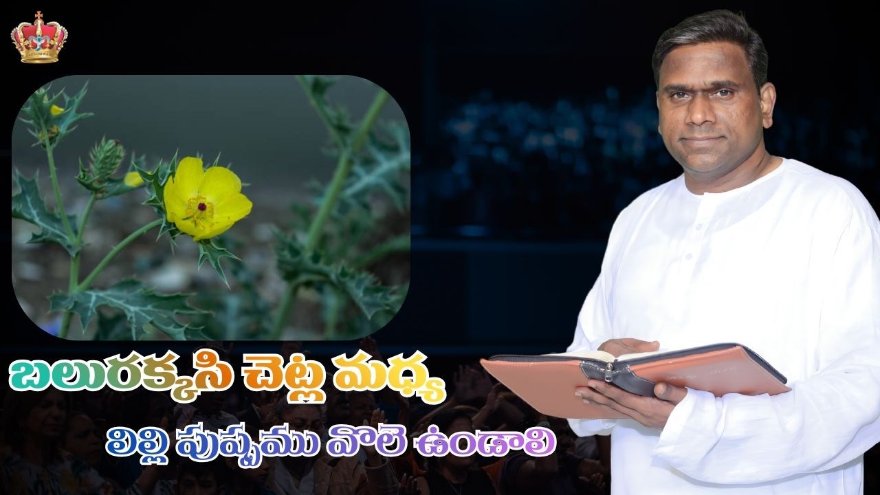 బలురక్కసి  చెట్ల మధ్య  లిల్లిపుష్పము  నోలె ఉండాలి.........christian message by  pastor johnpetergaru