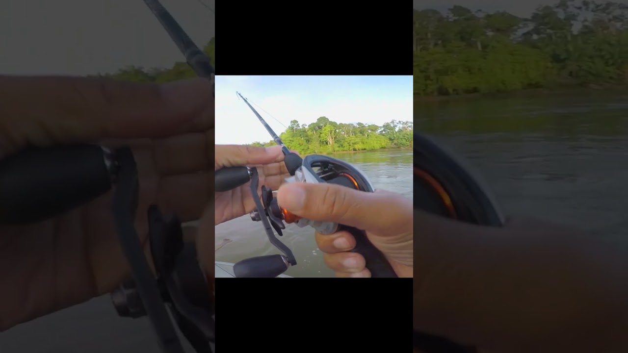 Sebarau Monster Sungai Perak !    Reel Abu Garcia Revo 5 X Line Ozmy Drago 