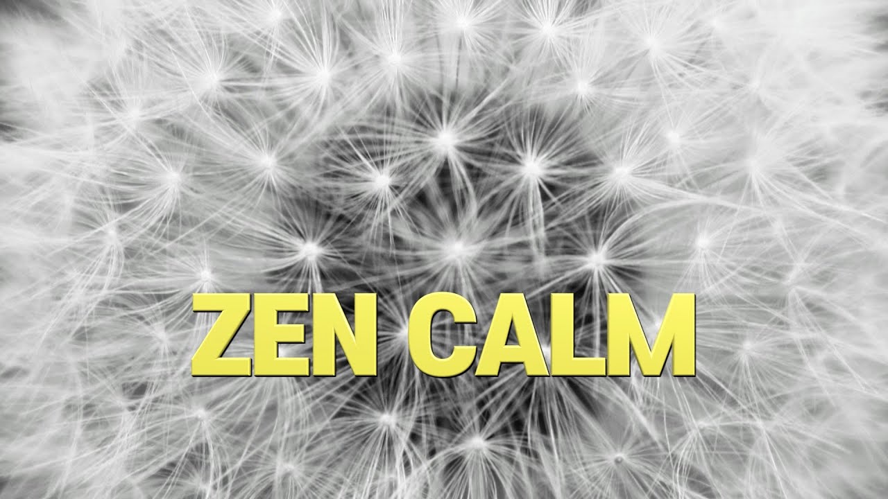 ZEN CALM | Zen Meditation Music (1 Hour)