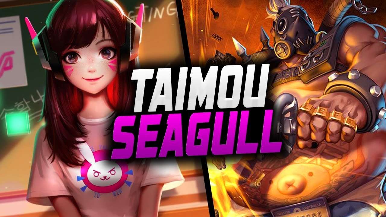 Taimou Insane ROADHOG AND SEAGULL Pro DVA! Best Duo? [ OVERWATCH SEASON 13 TOP 500 ]
