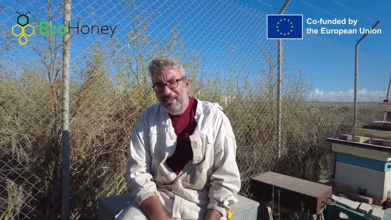 H3- 1.3 & 3.2 - Honey in Medicine & Health - Interview