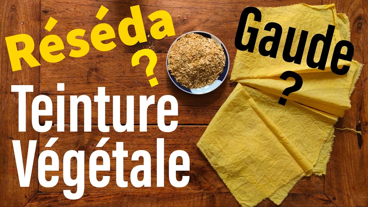 R&eacute;s&eacute;da? Gaude? C&rsquo;est quoi cette teinture jaune ?!? Et v&eacute;g&eacute;tale.