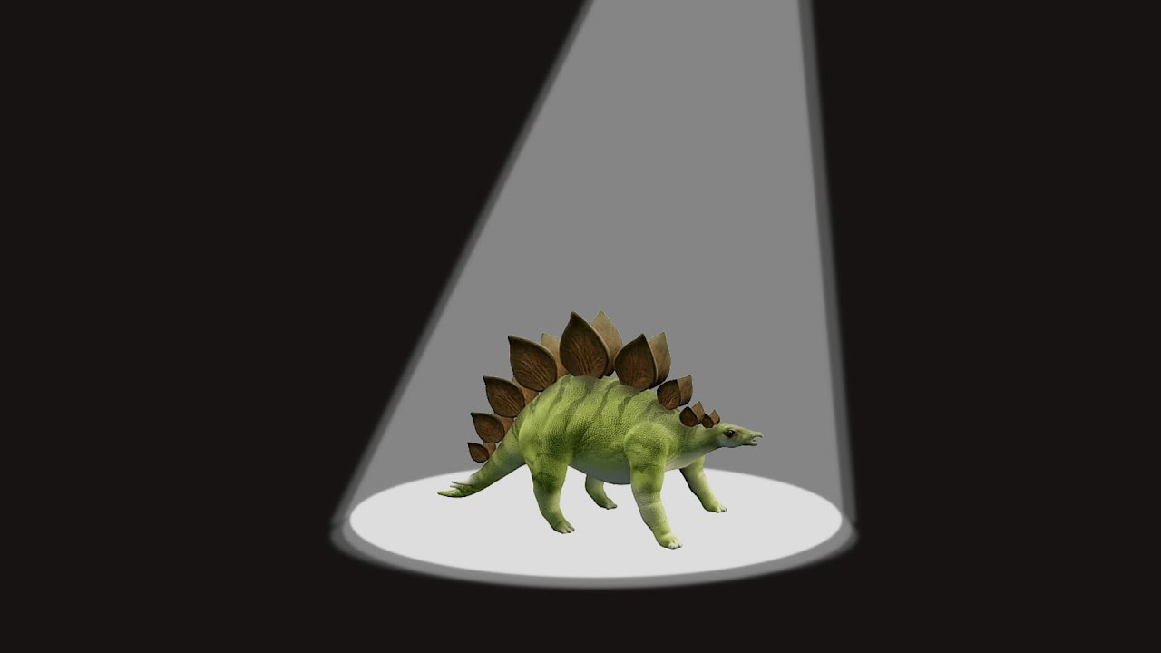 Stella the Steg