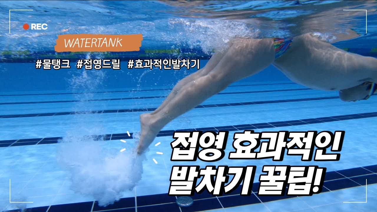 [물탱크] 접영 효과적인 발차기 별 다섯개!