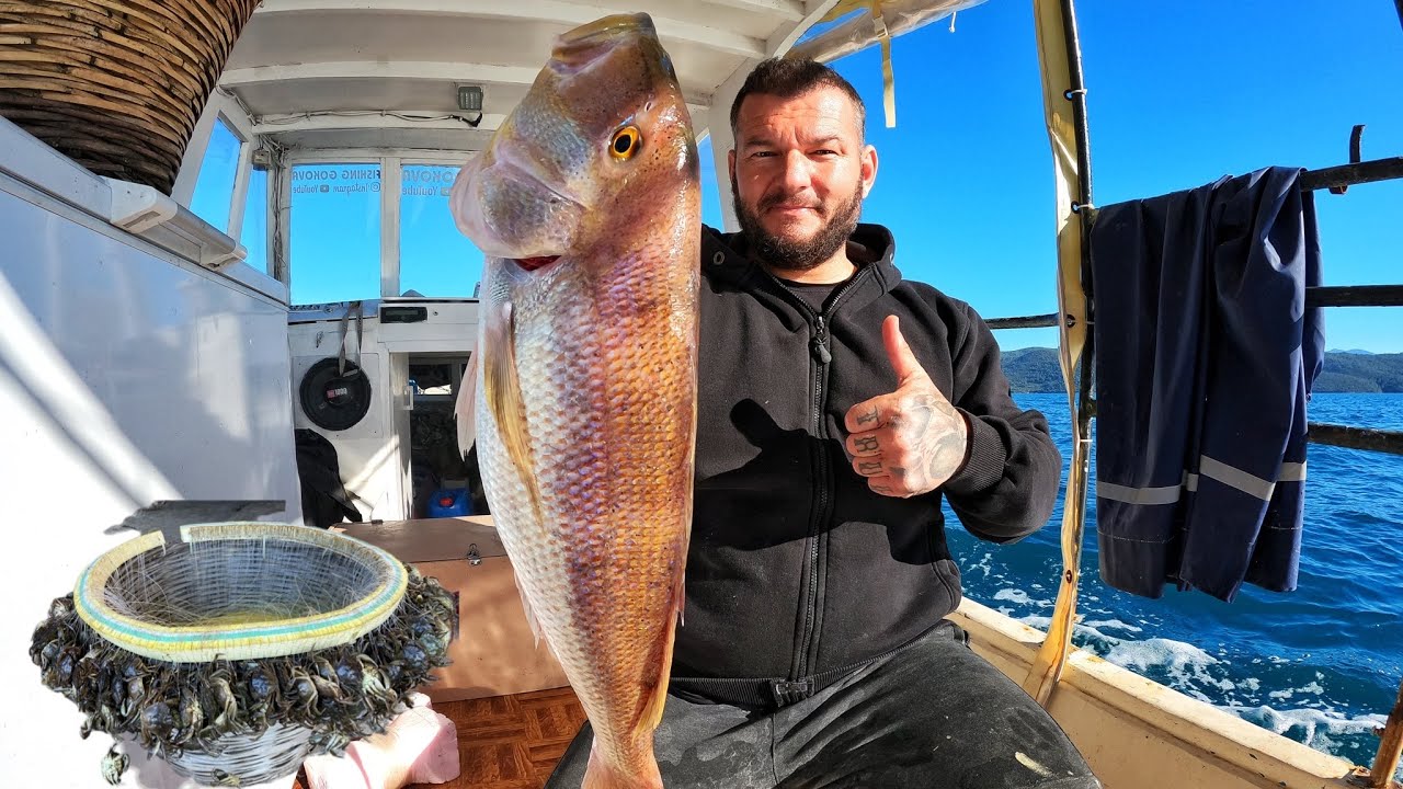 Yengeç ve Tavukla paragat attım/Gelenlere çok şaşırdık #balıkçı #paragatavı #balıkavı #akyaka