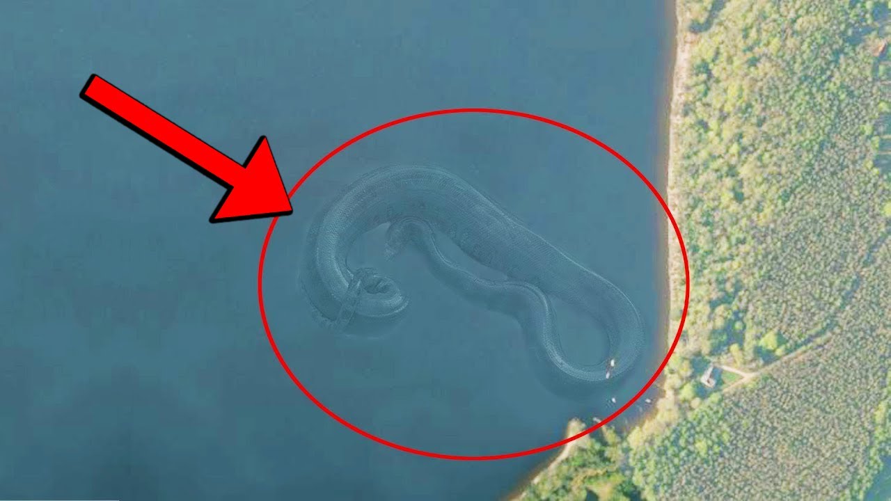 7 Pinaka MISTERYOSONG Halimaw o Nilalang na Nakita sa GOOGLE MAPS!